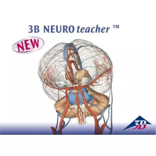 3B NEUROteacher ™, do 15 Licencji Użytkowników