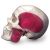Model czaszki łączonej przezroczysto/kostnej (BONElike™ ) A282