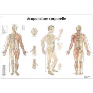Tablica medyczna z punktami do akupunktury, VR2820L